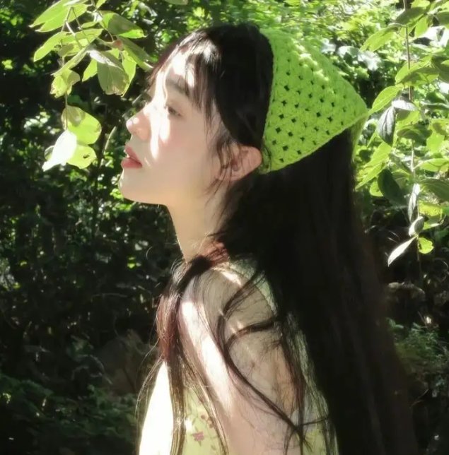银狐